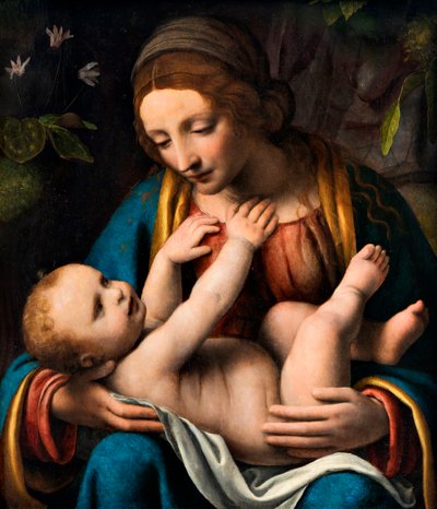 Madonna e Bambino da Bernardino Luini