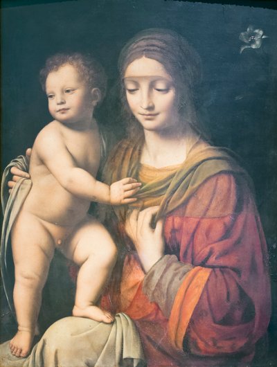 Vergine e Bambino da Bernardino Luini