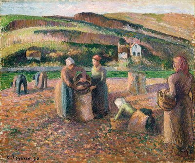 Raccolta di patate da Camille Jacob Pissarro