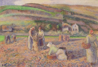 La raccolta delle patate da Camille Jacob Pissarro