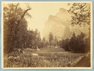 Pohono, Velo da Sposa, Yosemite da Carleton E. Watkins