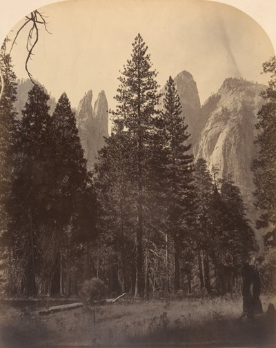 Torri della cattedrale da Carleton Emmons Watkins