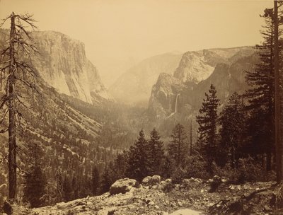 Valle di Yosemite dal Punto di Ispirazione da Carleton Watkins