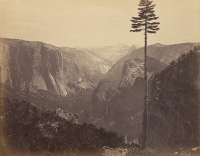 Valle di Yosemite dalla Migliore Vista Generale da Carleton Watkins