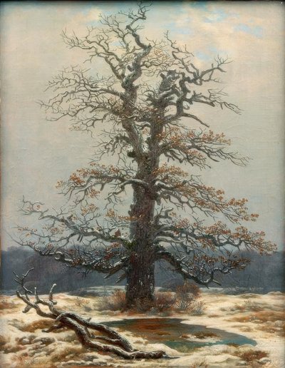 Quercia nella neve da Caspar David Friedrich