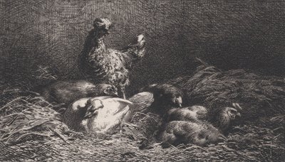 Galline da Charles Emile Jacque