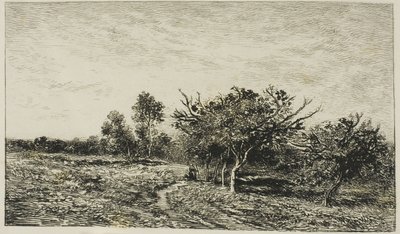 Meli ad Auvers da Charles Francois Daubigny