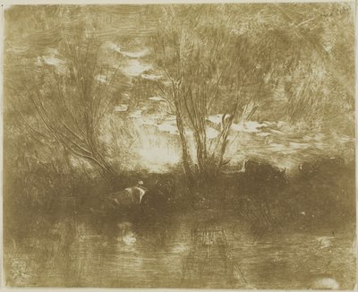 Mucche al beveratoio da Charles Francois Daubigny