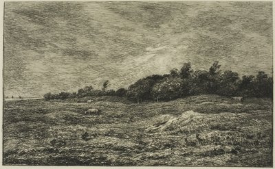 Le Prè des Graves a Villerville (Calvados) da Charles Francois Daubigny