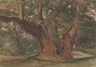 Alberi in un paesaggio da Charles Reginald Aston