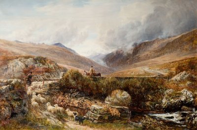 Vicino a Llanbedr, Barmouth, 1872 da Charles Thomas Burt