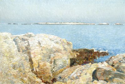 Isola delle anatre da Childe Frederick Hassam