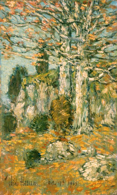 Paesaggio con Alberi da Childe Frederick Hassam