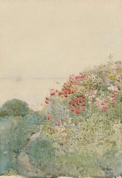 Campo di papaveri, Isole di Shoals da Childe Hassam