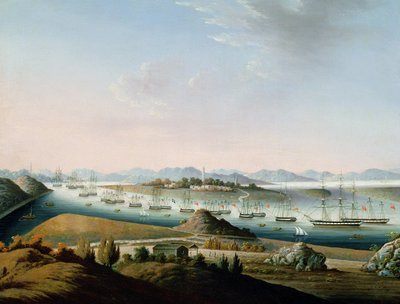 Vista di Whampoa, c.1840 da Chinese School