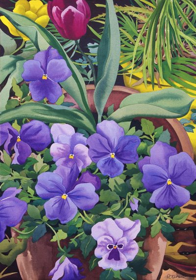 Vasi di fiori con viole del pensiero da Christopher Ryland