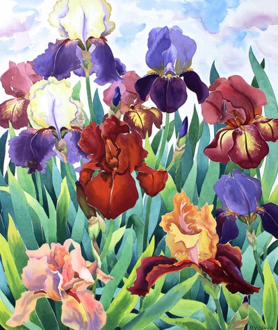 Glemsford Iris da Christopher Ryland