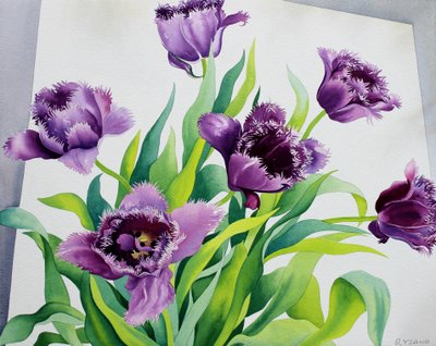 Tulipani con frange viola da Christopher Ryland