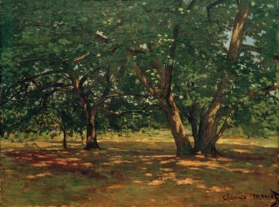 Foresta di Fontainebleau da Claude Monet