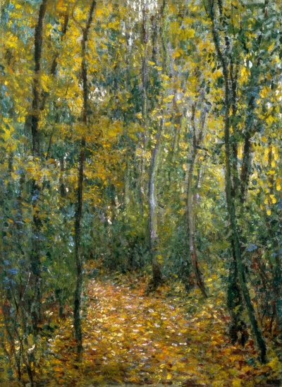 Sottobosco da Claude Monet