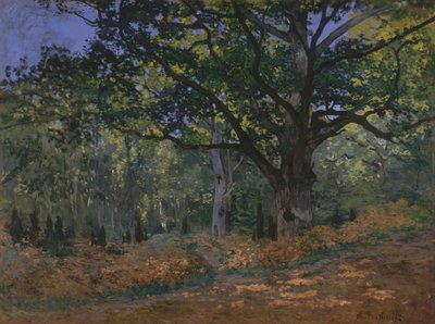 La quercia di Bodmer, foresta di Fontainebleau da Claude Monet