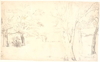 Paesaggio con alberi sparsi da Dankvart Dreyer