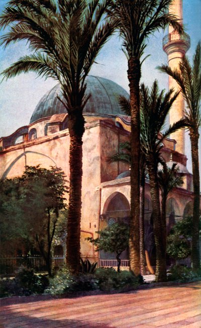 Moschea di Jezzar Pasha, Acri, Palestina da Donald McLeish