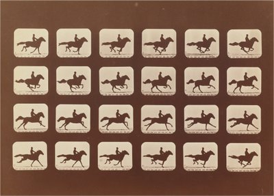 Cavalli. Correndo. Phyrne L. No. 40 da Eadweard Muybridge