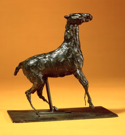 Cavallo caracollante da Edgar Degas