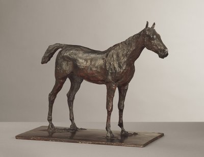 Cavallo in piedi da Edgar Degas