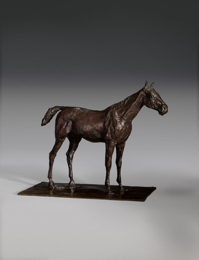 Cavallo in piedi da Edgar Degas