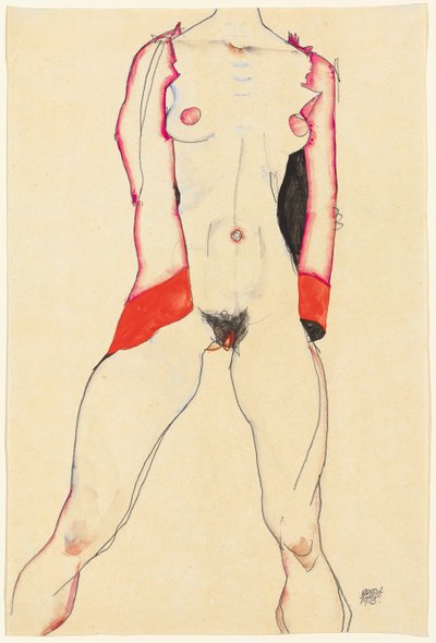 Torso femminile da Egon Schiele