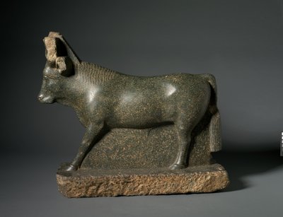 Toro Apis da Egyptian Ptolemaic Period