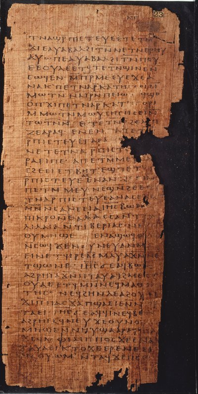 Pagina dal Vangelo di San Giovanni da Egyptian School