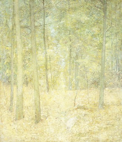 Scena boschiva da Emil Carlsen