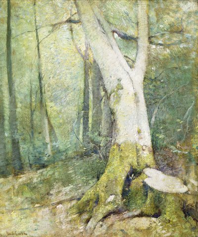 Bosco Interno da Emil Carlsen