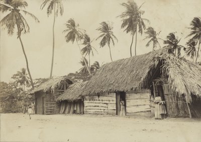 Bridgetown, Barbados, capanne da English Photographer