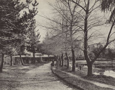 Lago Wendouree in inverno da English Photographer