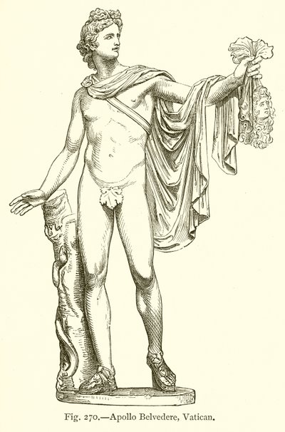 Apollo del Belvedere, Vaticano da English School