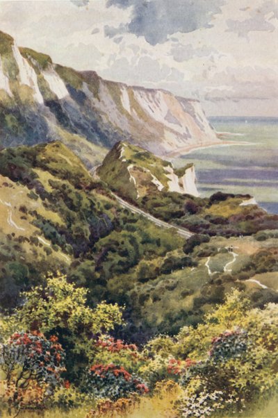 The Warren, Folkestone da Ernest William Haslehust