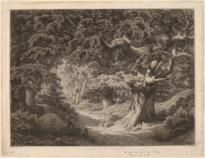 Il Carlo Magno (foresta di Fontainebleau) da Eugene Bléry