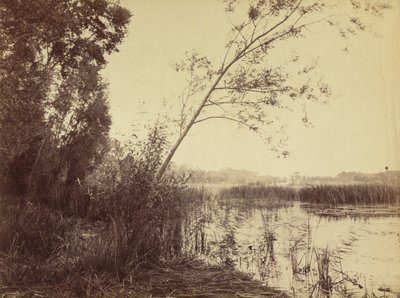 Marais de Fampoux da Eugène Cuvelier