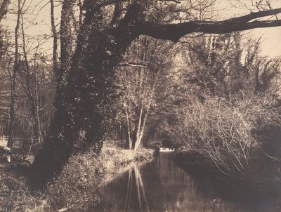 Parc de Courances da Eugène Cuvelier