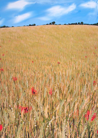 Campo di grano da Faisal Khouja