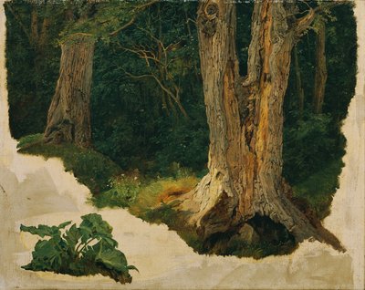 Studio di albero da Ferdinand Georg Waldmuller