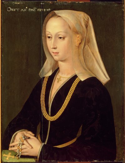 Ritratto di una donna, 1520 da Flemish School