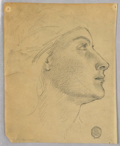 Testa di una donna da Francis Augustus Lathrop