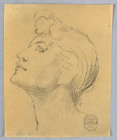 Testa di una donna da Francis Augustus Lathrop