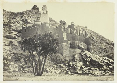 Palma Doum e Moschea in Rovina, Filè da Francis Frith