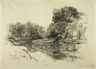 Un fiume in Irlanda da Francis Seymour Haden